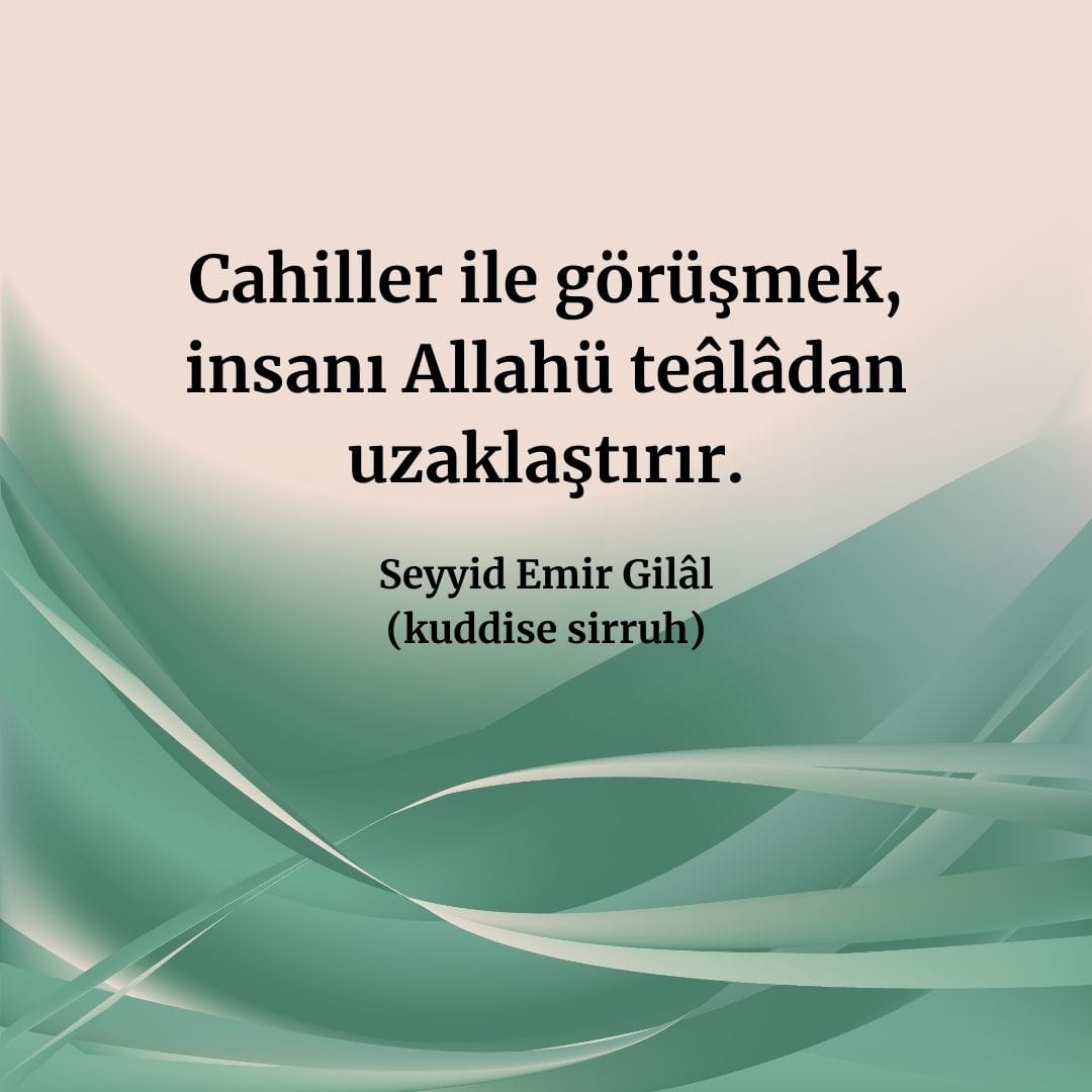 Hikmet Ehli Zatlar (100)